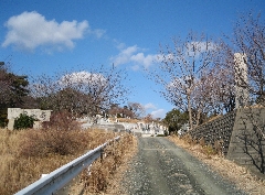 円福寺霊園入口